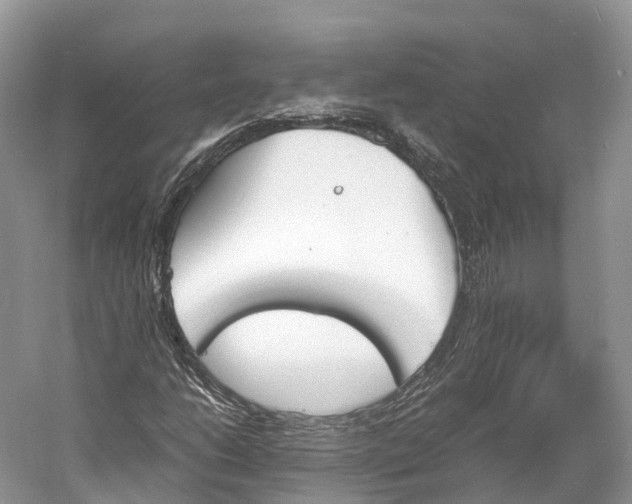 X0000060801206200512011724