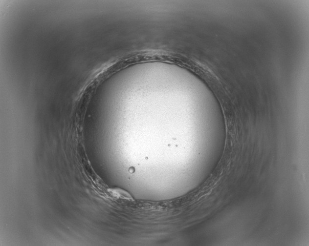 X0000060801207200512011724