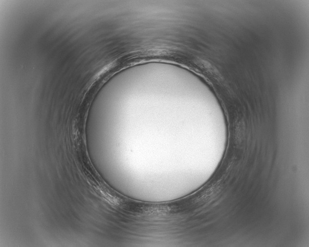 X0000060801210200512011724