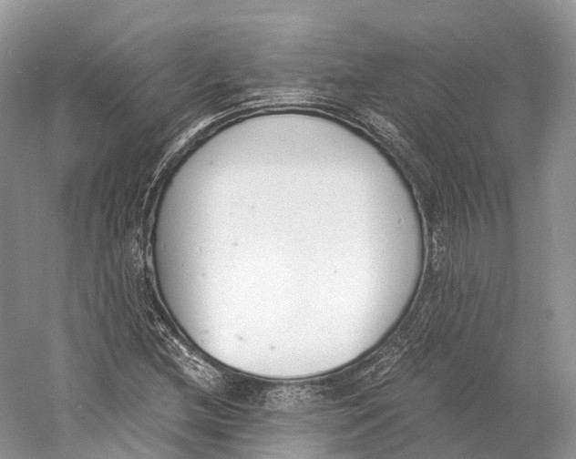 X0000060801212200512011724