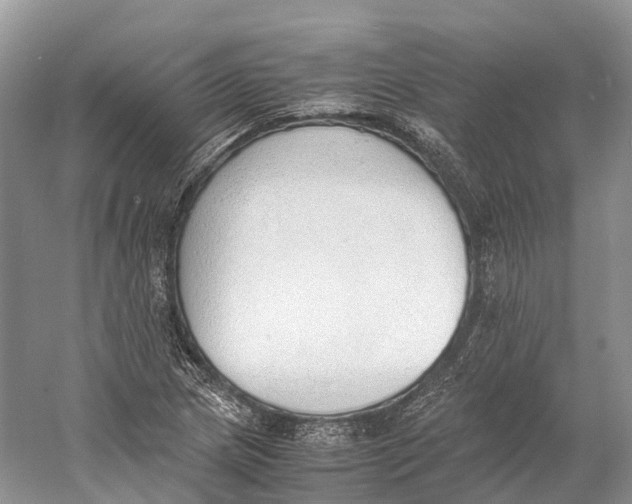 X0000060801217200512011724