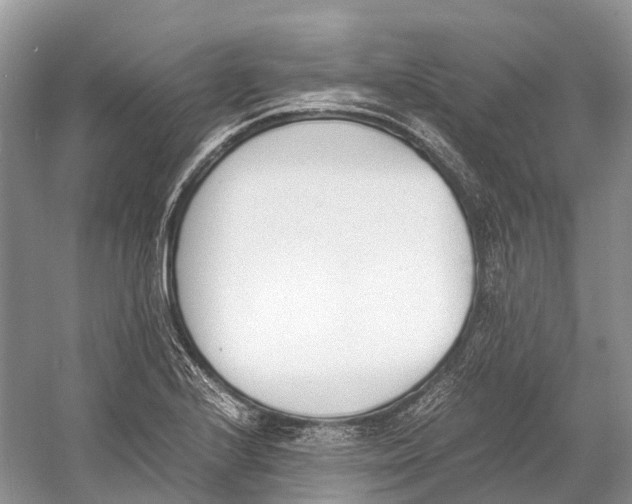 X0000060801224200512011724