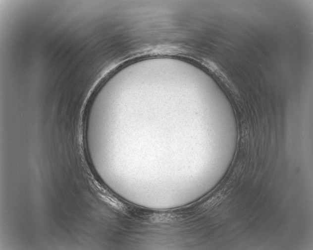 X0000060801232200512011724