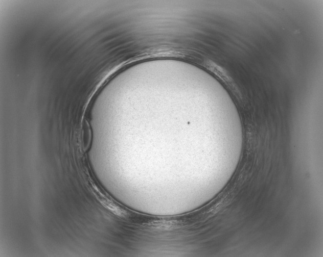 X0000060801236200512011724