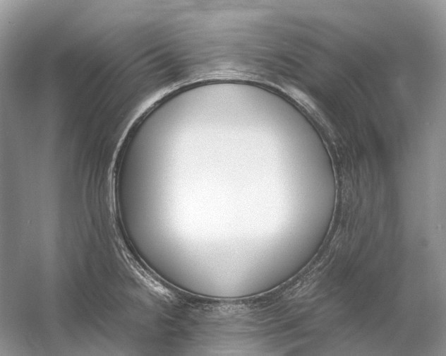 X0000060801238200512011724