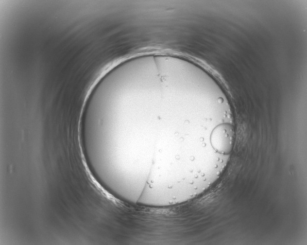 X0000060801239200512011724