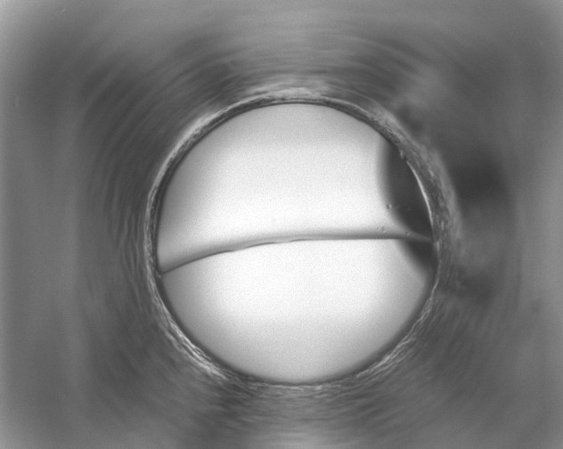 X0000060801240200512011724