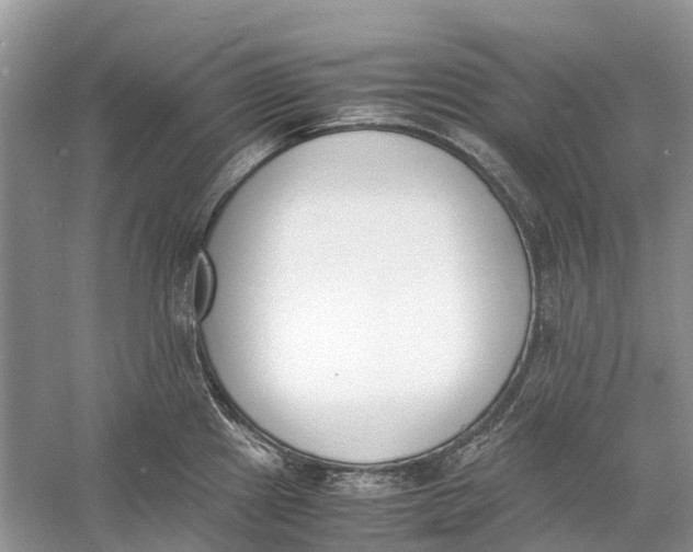 X0000060801241200512011724