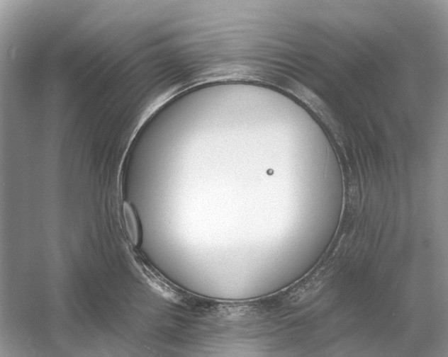 X0000060801242200512011724