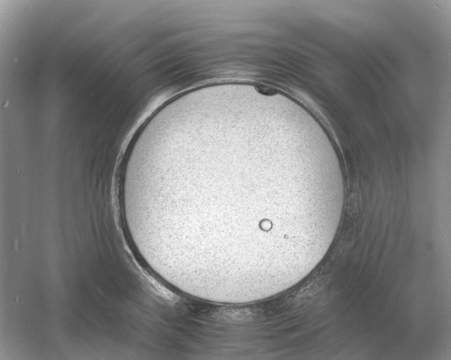 X0000060801243200512011724