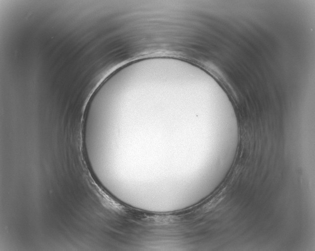 X0000060801244200512011724