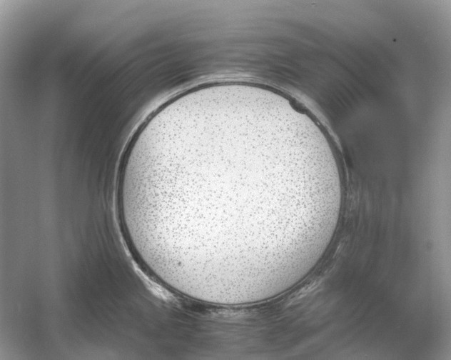 X0000060801245200512011724