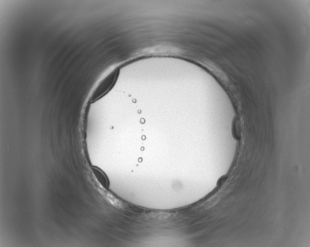 X0000060801248200512011724