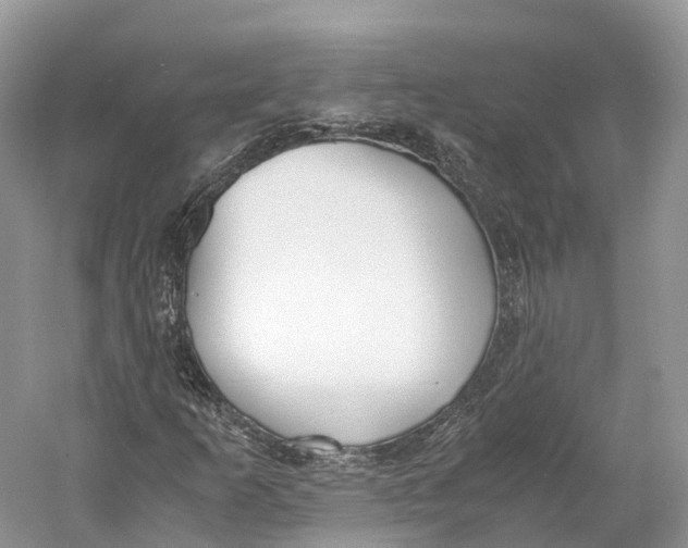 X0000060801253200512011723