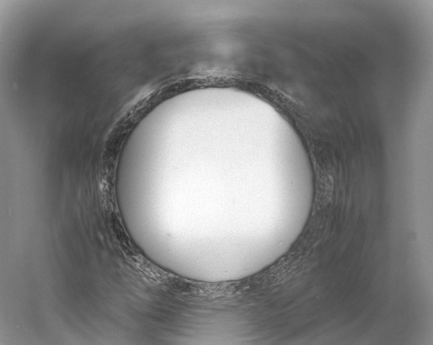 X0000060801254200512011723