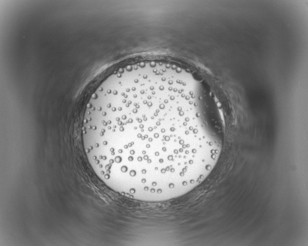 X0000060801255200512011723