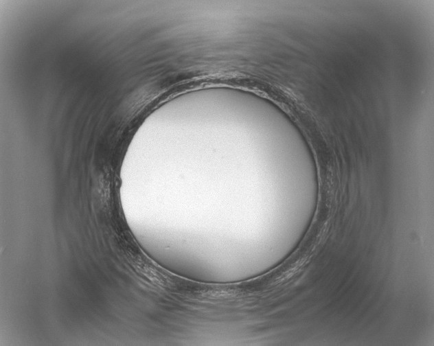 X0000060801257200512011723