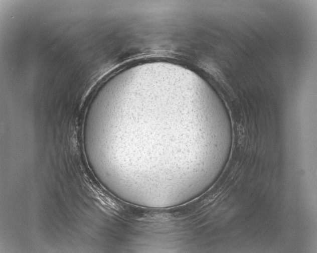 X0000060801260200512011723