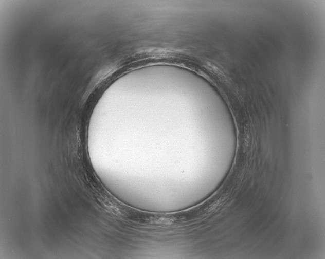 X0000060801261200512011723