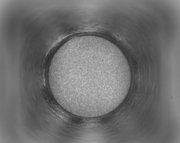 X0000060801262200512011723