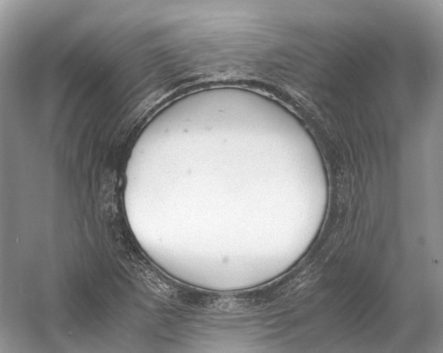 X0000060801265200512011723