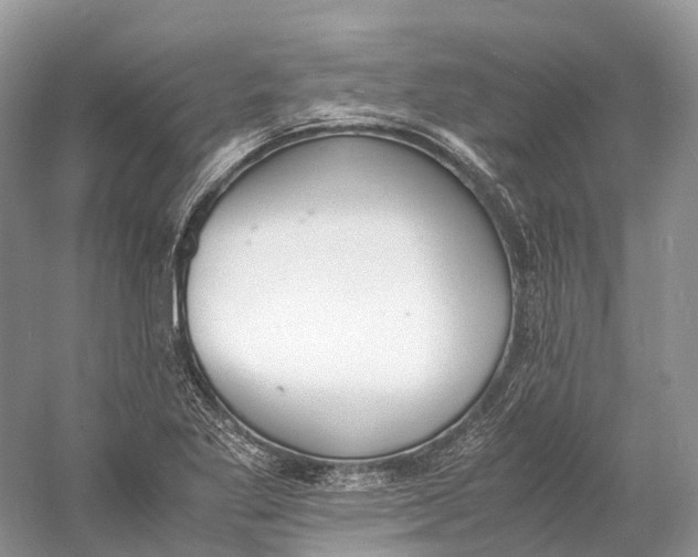 X0000060801269200512011723