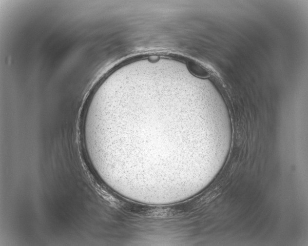 X0000060801279200512011723