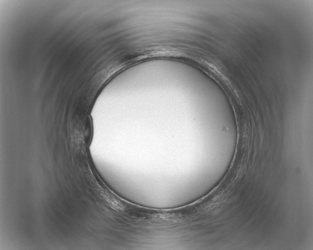 X0000060801281200512011723