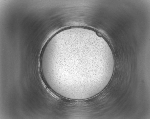 X0000060801287200512011723