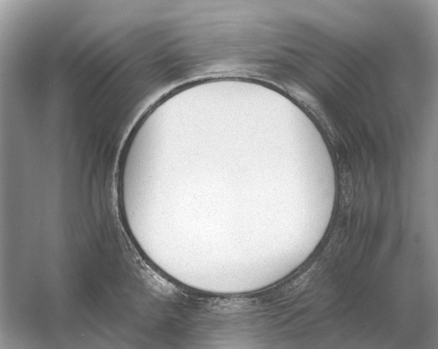 X0000060801288200512011723