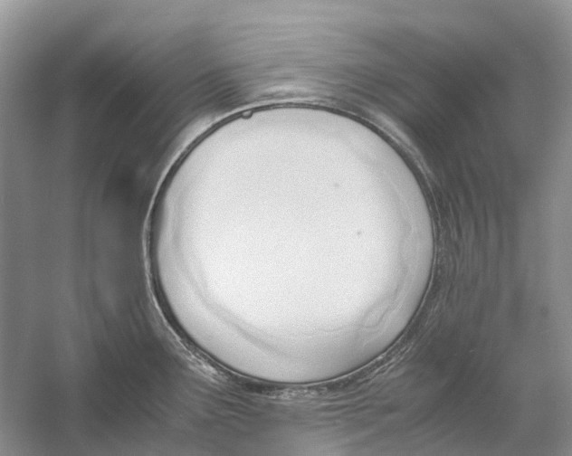 X0000060801291200512011723