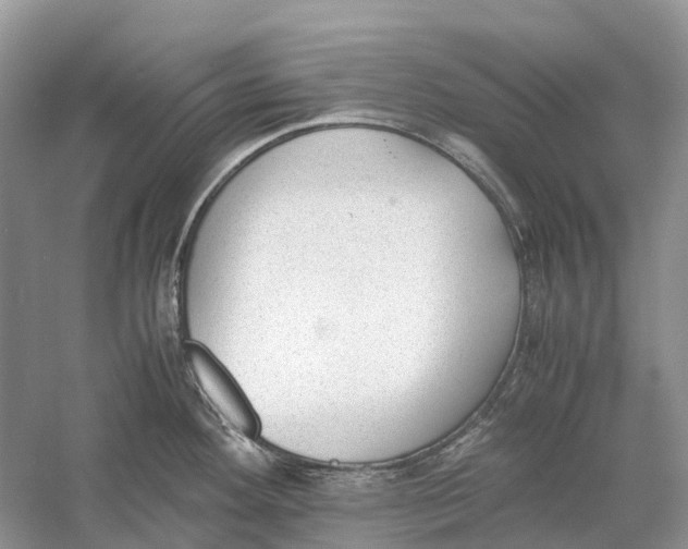 X0000060801292200512011723