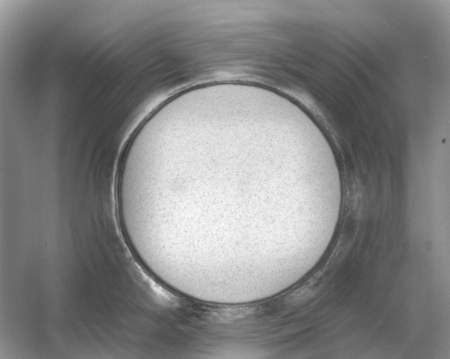 X0000060801294200512011723