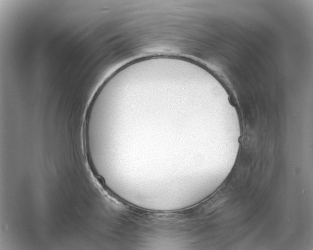 X0000060801295200512011723