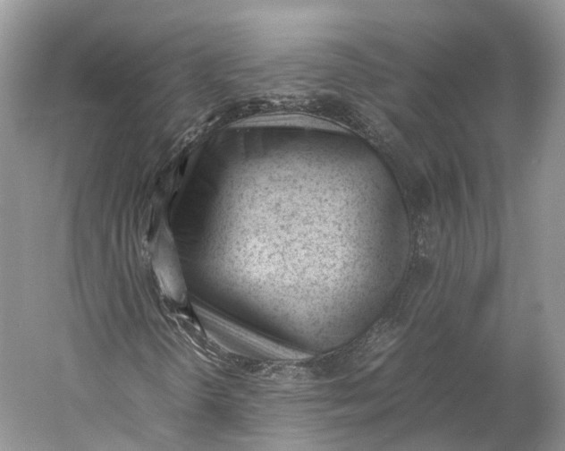 X0000060801298200512011722