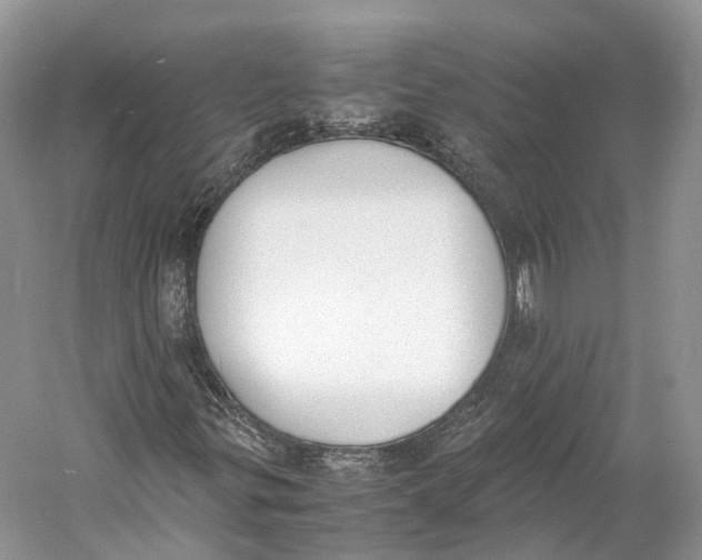 X0000060801299200512011722