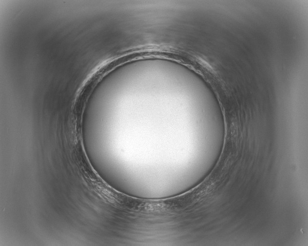 X0000060801310200512011722