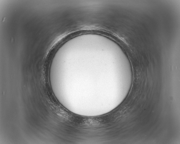 X0000060801311200512011722