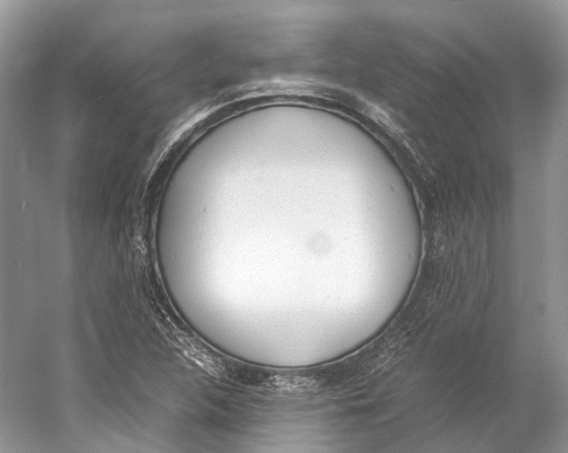 X0000060801312200512011722