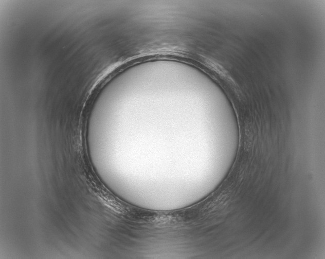 X0000060801316200512011722