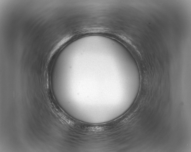 X0000060801317200512011722