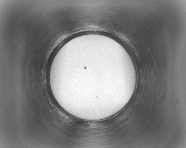 X0000060801318200512011722