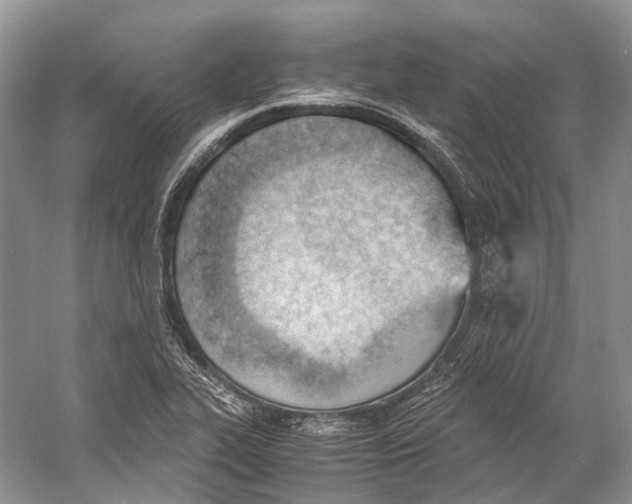 X0000060801319200512011722