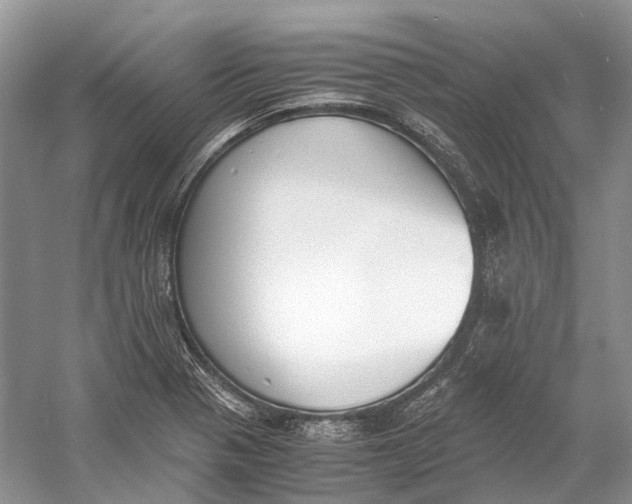 X0000060801321200512011722