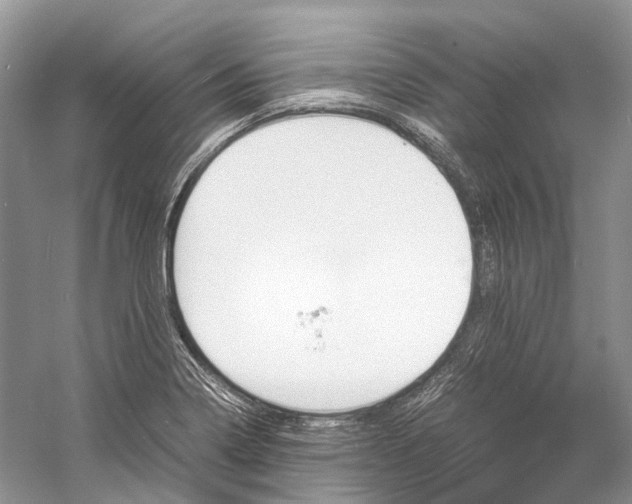 X0000060801322200512011722