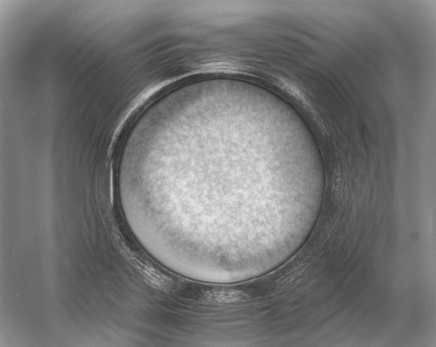 X0000060801323200512011722