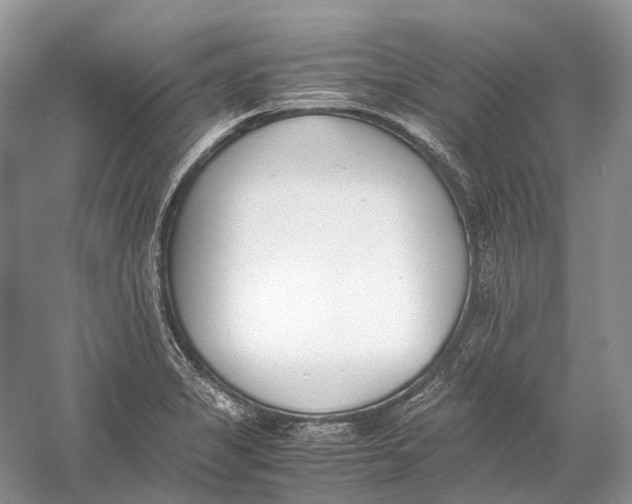 X0000060801325200512011722