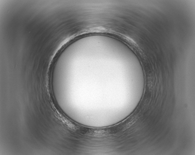 X0000060801326200512011722