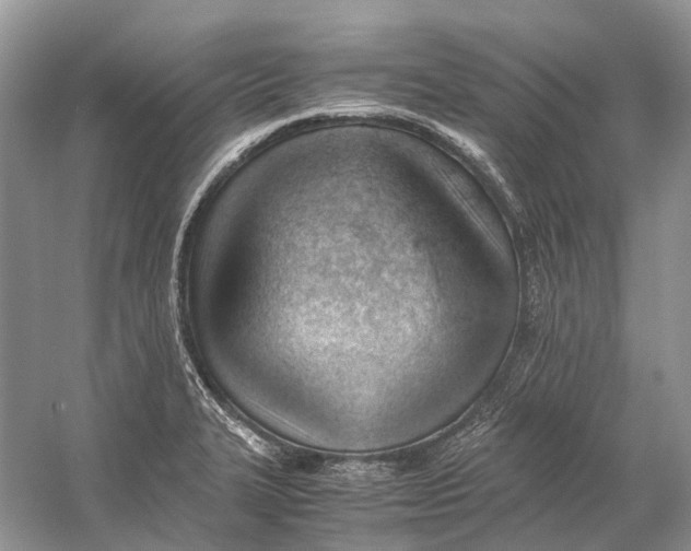 X0000060801327200512011722