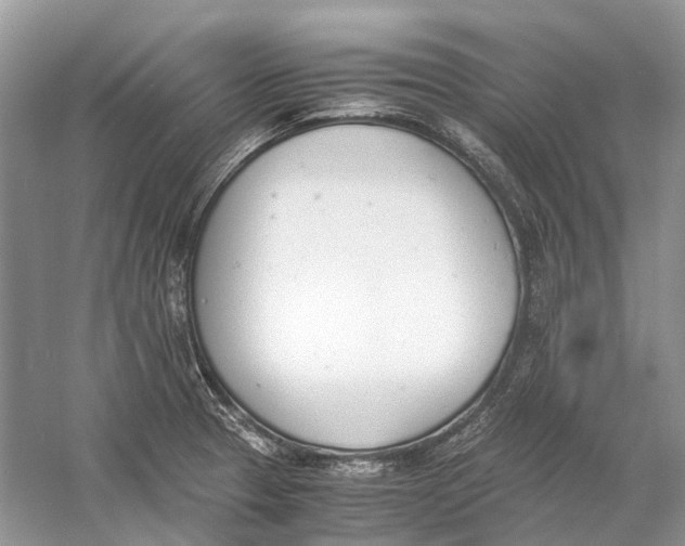 X0000060801329200512011722